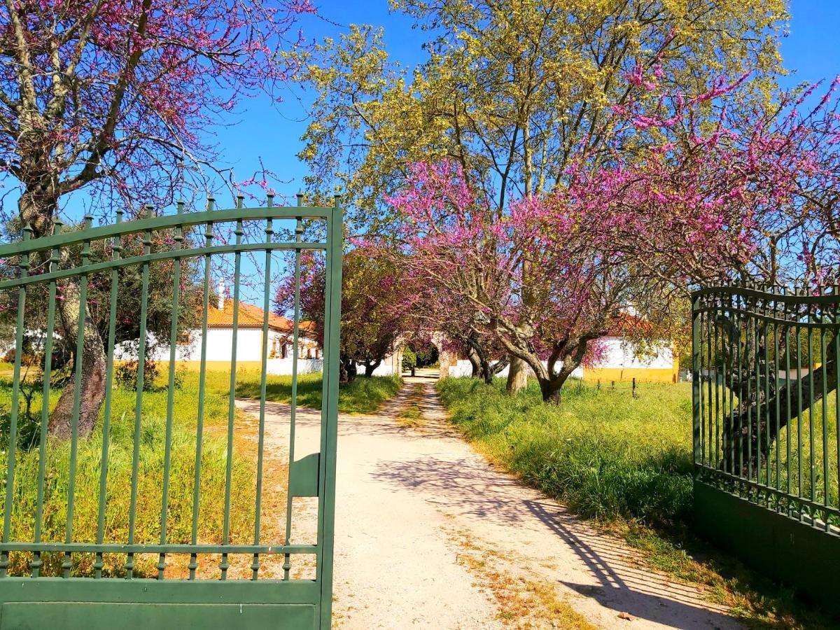 Casas Herdade Do Convento Da Serra Almeirim Luaran gambar