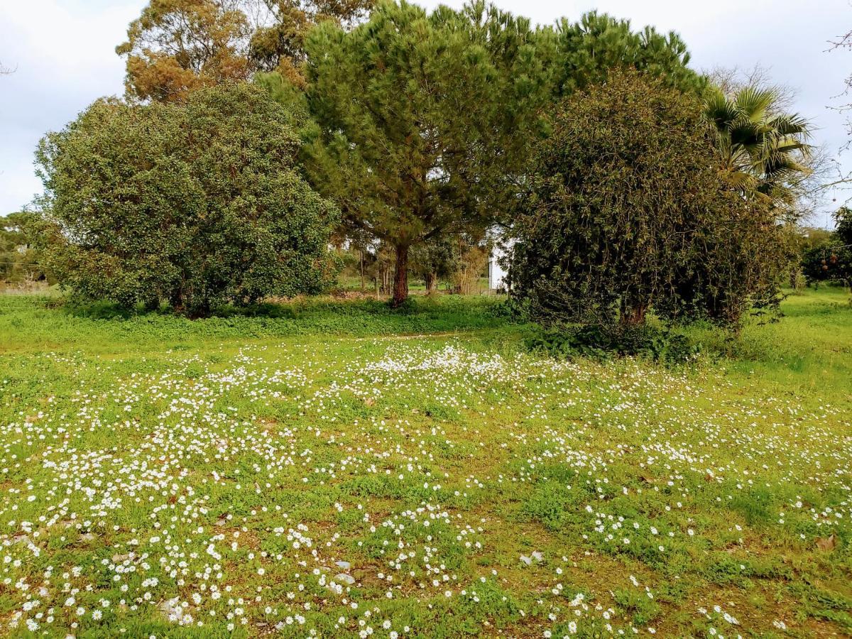 Casas Herdade Do Convento Da Serra Almeirim Luaran gambar