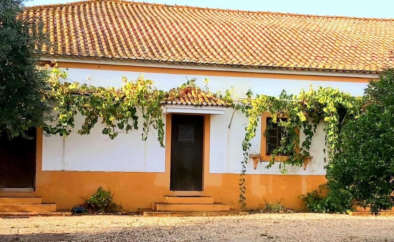Casas Herdade Do Convento Da Serra Almeirim Luaran gambar
