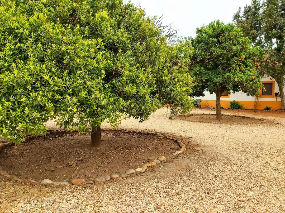 Casas Herdade Do Convento Da Serra Almeirim Luaran gambar