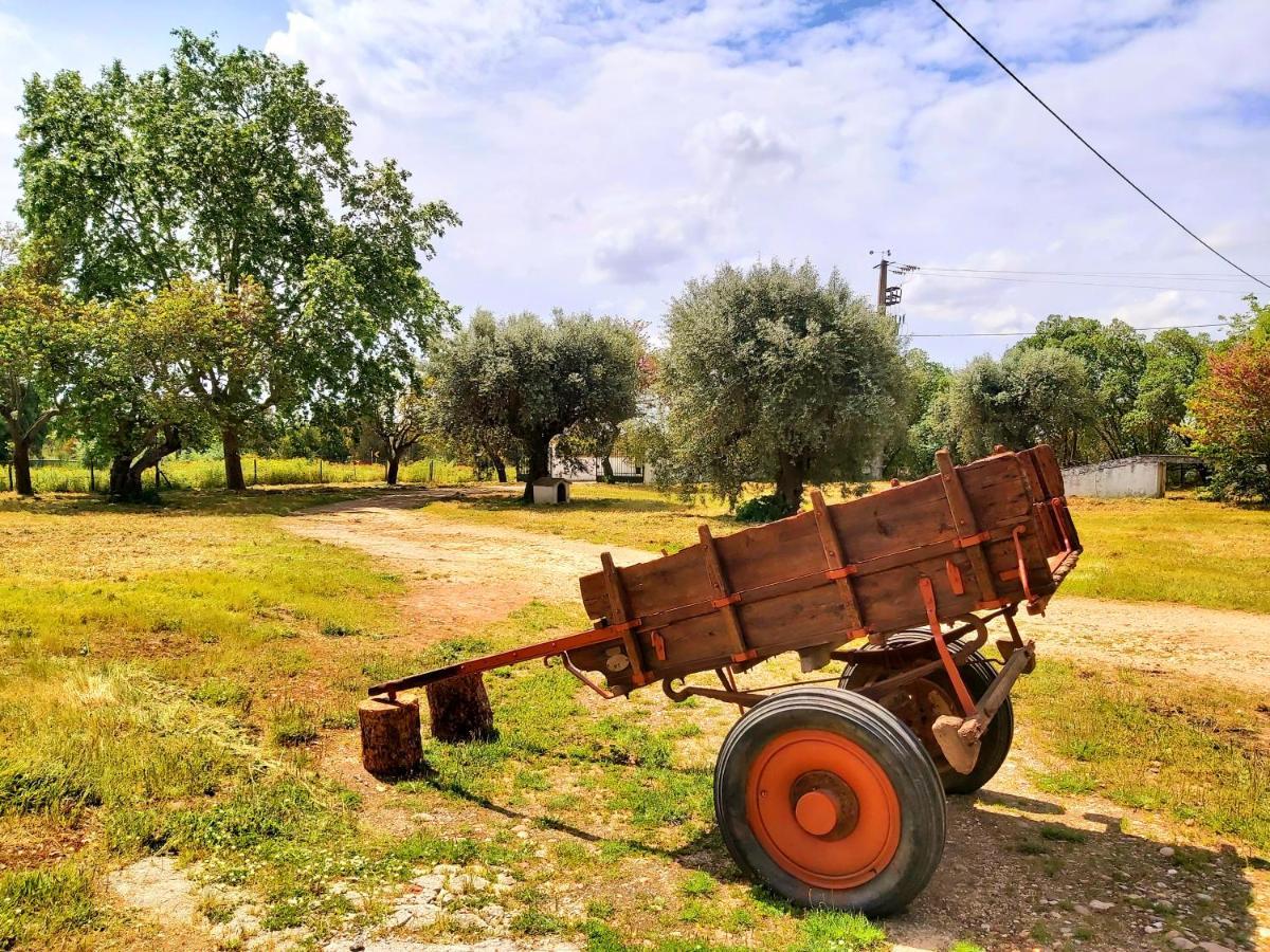 Casas Herdade Do Convento Da Serra Almeirim Luaran gambar