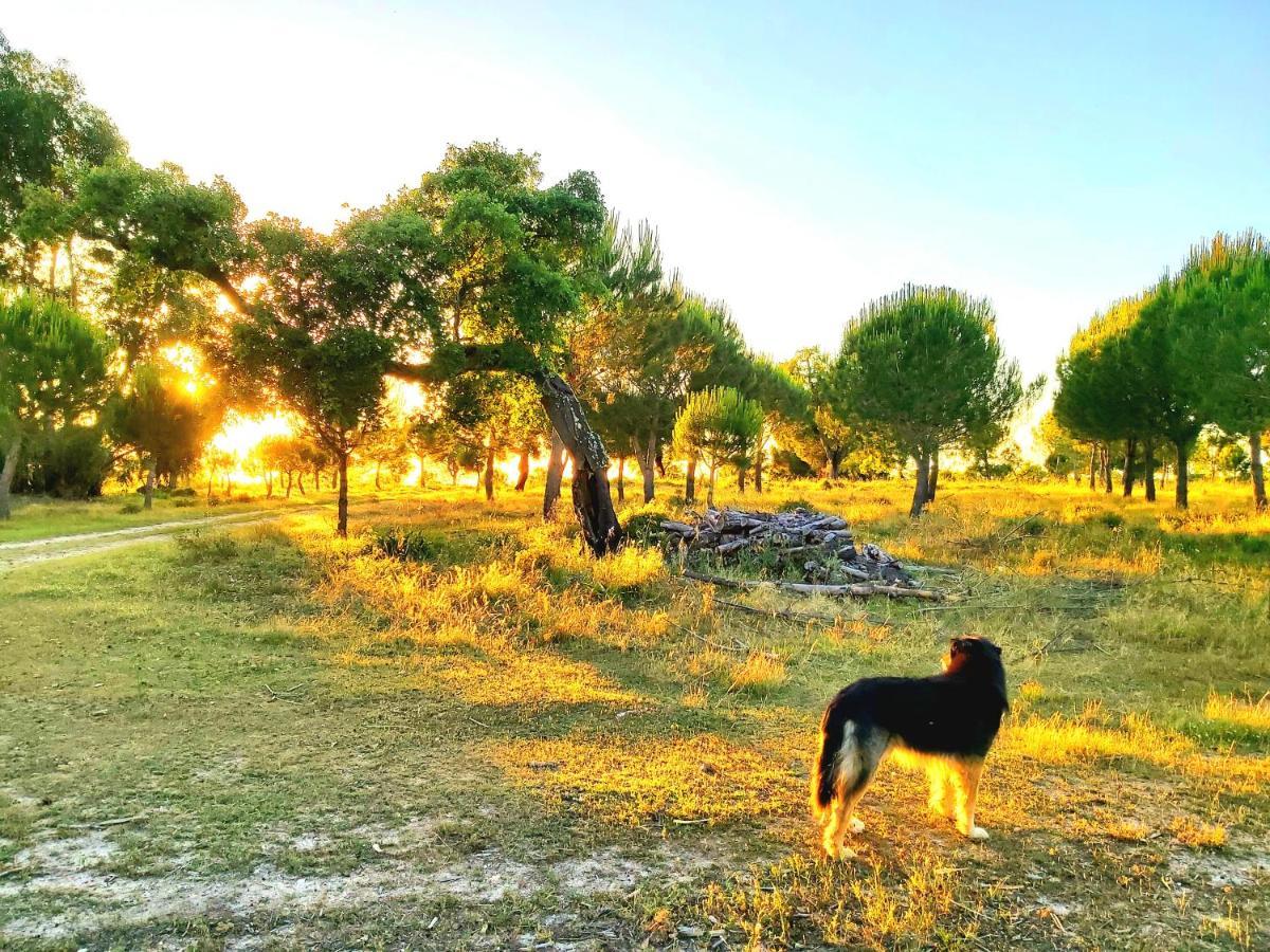 Casas Herdade Do Convento Da Serra Almeirim Luaran gambar