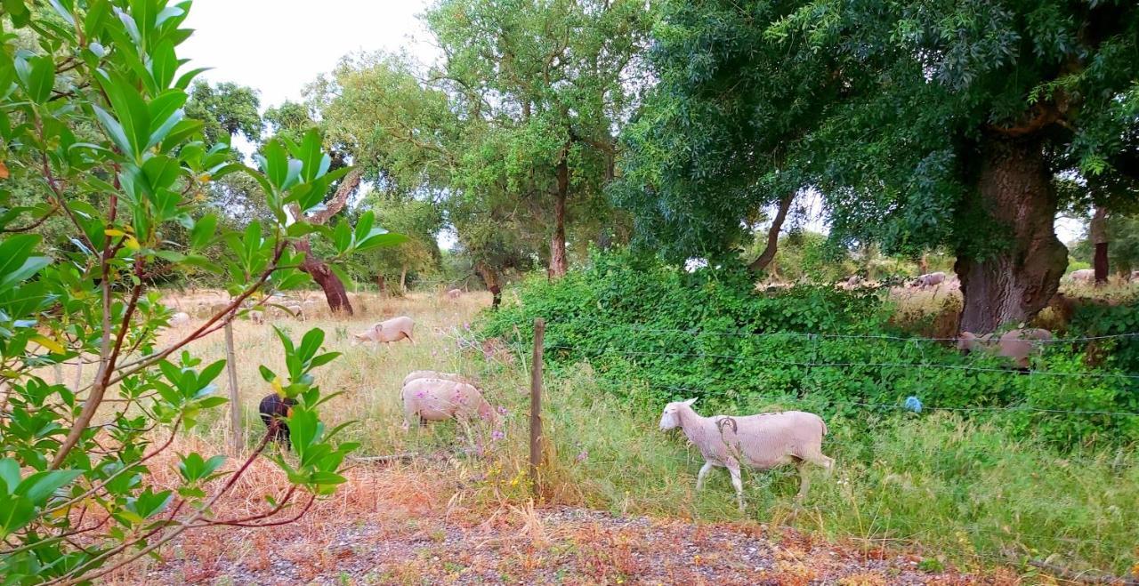 Casas Herdade Do Convento Da Serra Almeirim Luaran gambar