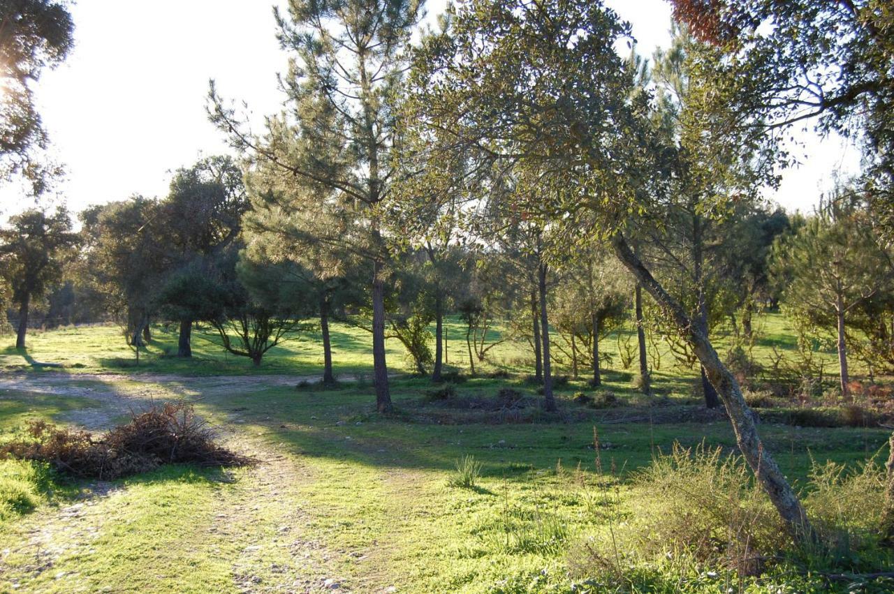 Casas Herdade Do Convento Da Serra Almeirim Luaran gambar
