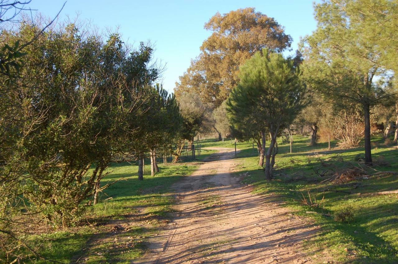 Casas Herdade Do Convento Da Serra Almeirim Luaran gambar