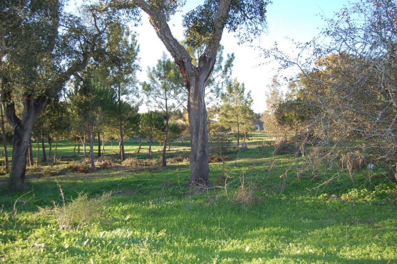 Casas Herdade Do Convento Da Serra Almeirim Luaran gambar